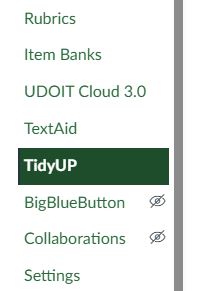 TidyUp in the course menu