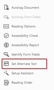 Set Alternative Text button
