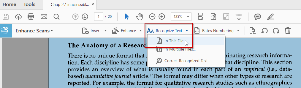 Recognize Text button dropdown, In This File button selected