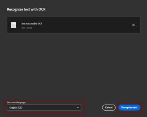 Document language and Recognize text buttons at bottom of field after uploading file