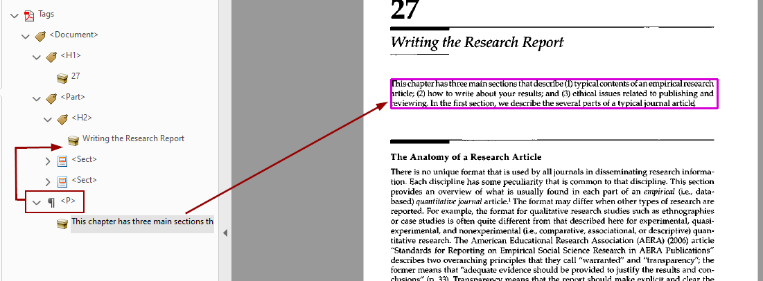 Paragraph description and tag moved to under Chapter Title tag. Description surrounded in pink.
